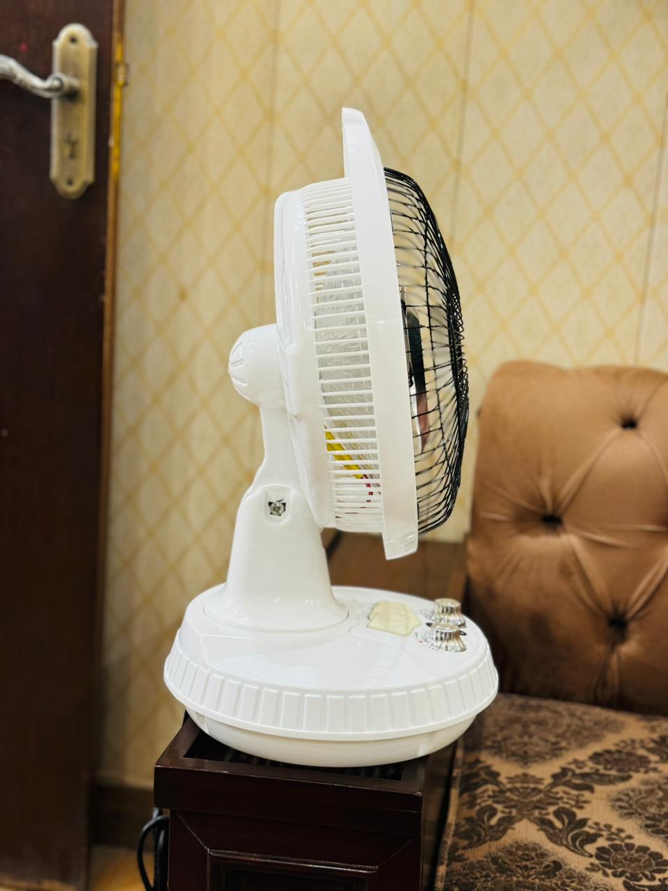 600 Watt Rotating Inverter Electric Heater